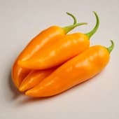 688a10f15d41d06fa5e9e889